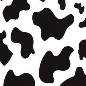 Meet your Posher, Brooklynn